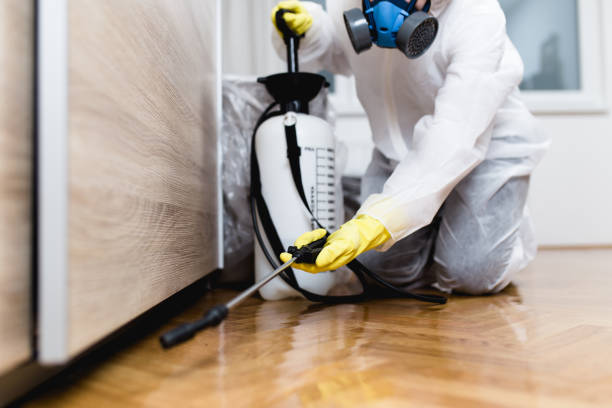 Best Flea Control Services  in Whiteville, TN