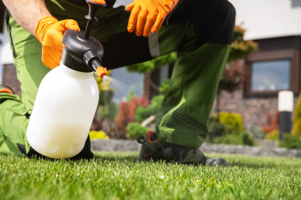 Best Rat Extermination Near Me  in Whiteville, TN