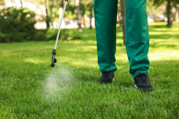 Best Best Pest Control Companies  in Whiteville, TN