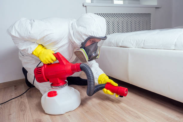 Best Best Pest Control Companies  in Whiteville, TN