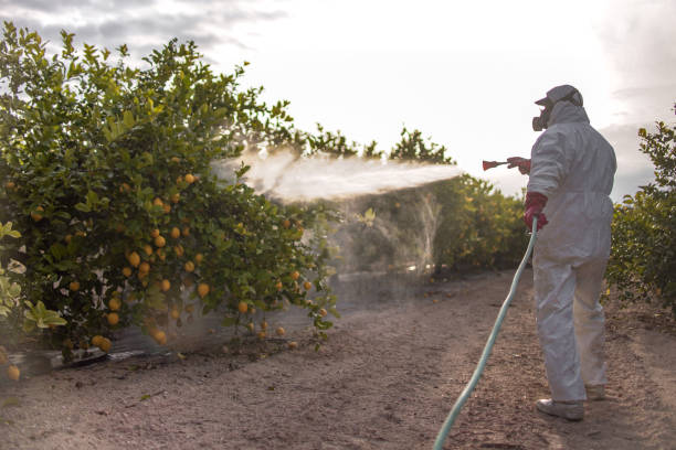 Insect Control in Whiteville, TN