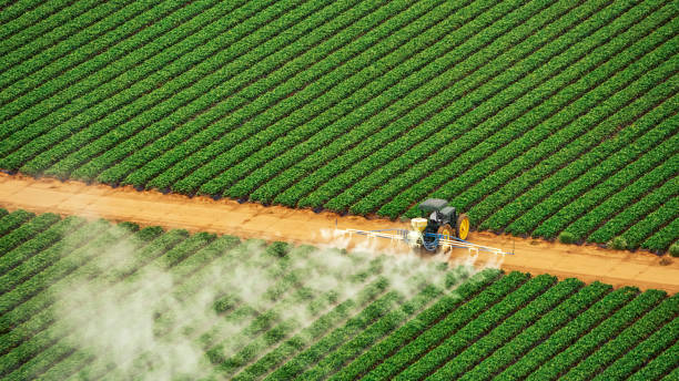 Best Pest Control Treatment  in Whiteville, TN