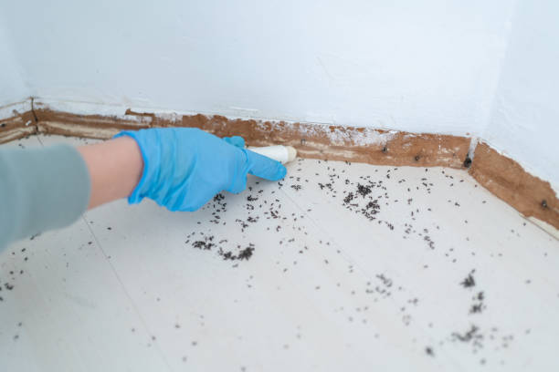 Best Exterminator Services  in Whiteville, TN